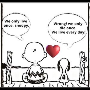 Meet your Posher, Eva